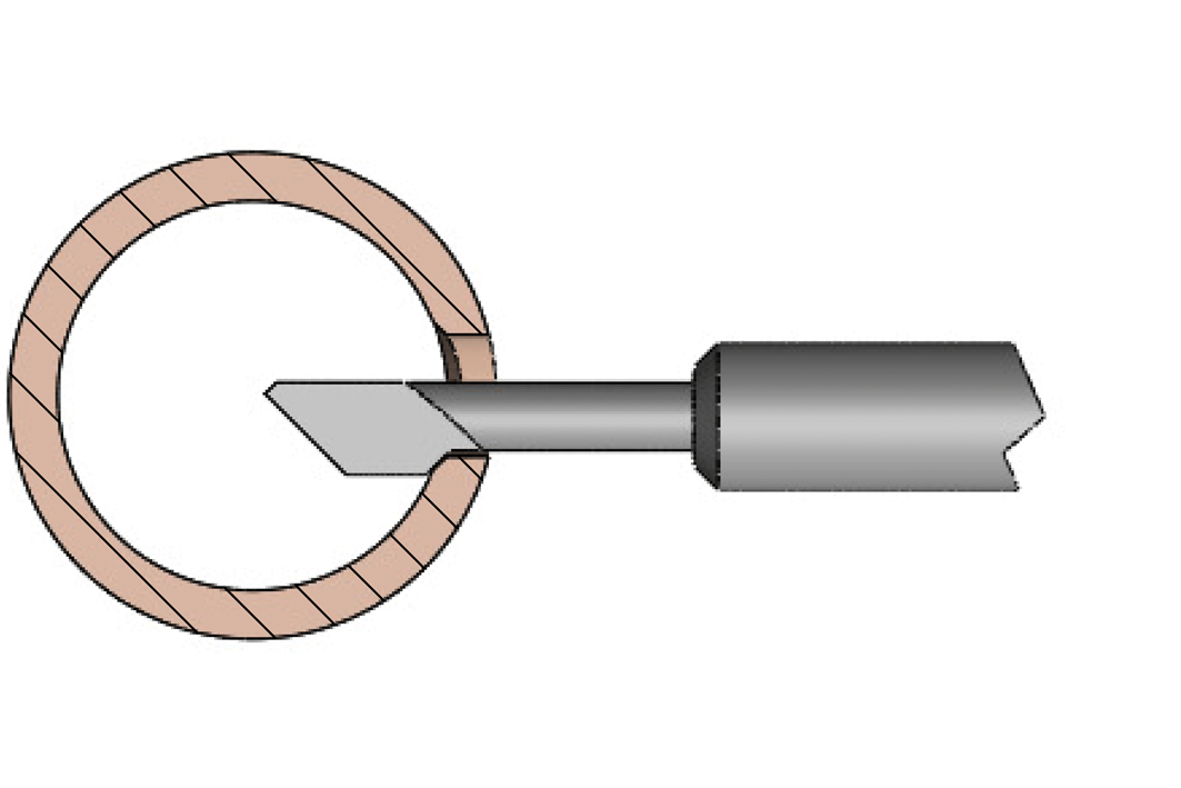 GMO-Anwendung-1X