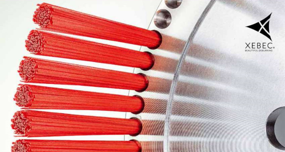 Titelbild-zweites-Logo-gro-sser-971x520